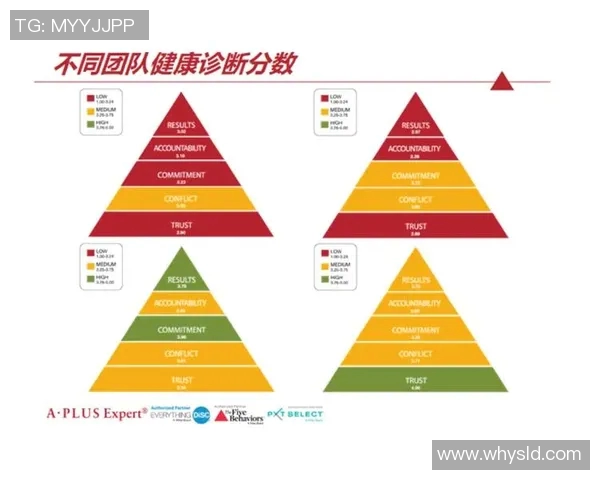 赛后分析：上海排球队与杭州排球队的团队协作与战术对比