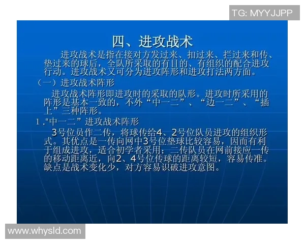 北京排球队进攻战术深度解析与未来发展趋势探讨