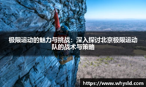 米兰体育官网