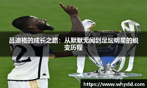 米兰体育官网